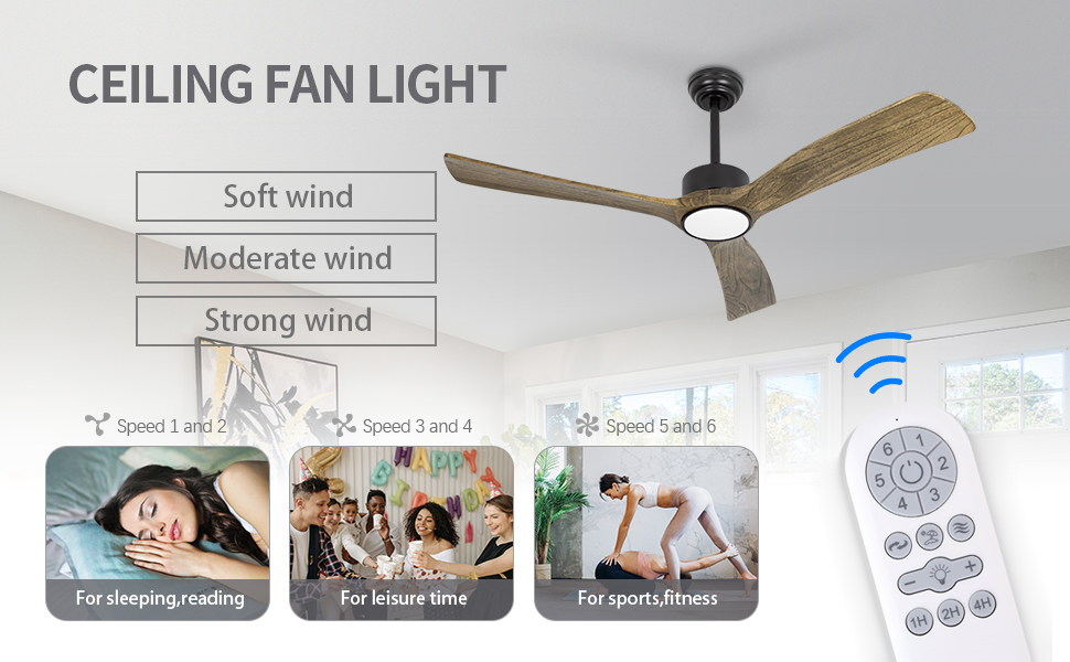 Ceiling fan light with remote control