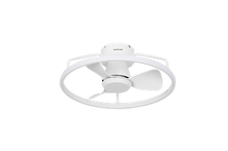 Ceiling Fans with Lights