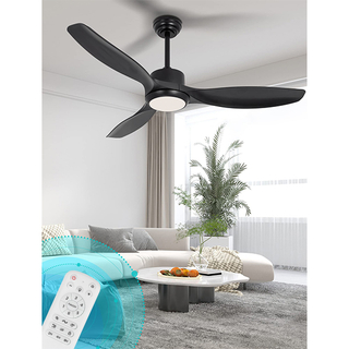 Modern Ceiling Fan with Light 52 Inch Black