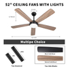 Ceiling Fan with Remote 52 inch 5 Dual Blades