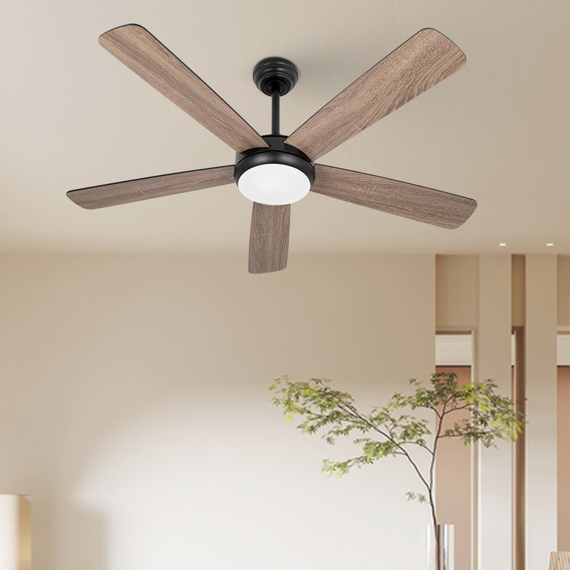 Ceiling Fan with Remote 52 inch 5 Dual Blades