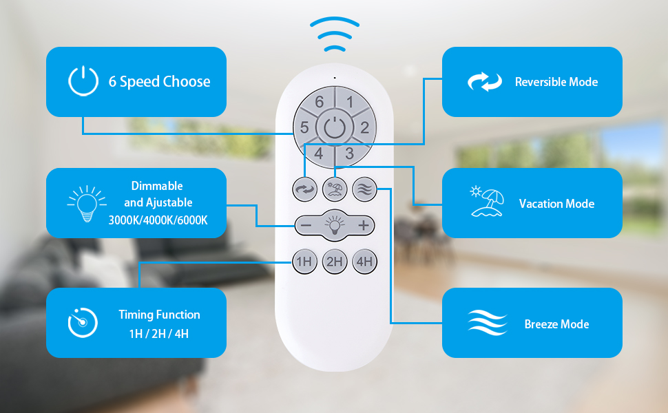 Ceiling fan remote control