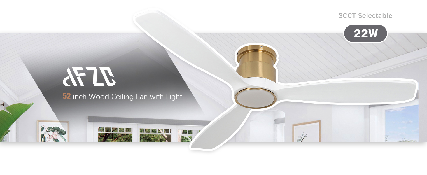 ceiling fan light