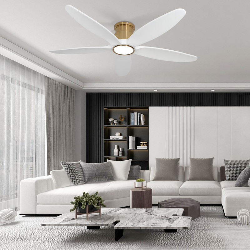 Ceiling Fan with Remote 52 Inch 5 Dual Blades White