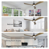 Amber Wood Blades Ceiling Fans with Lights and Remote