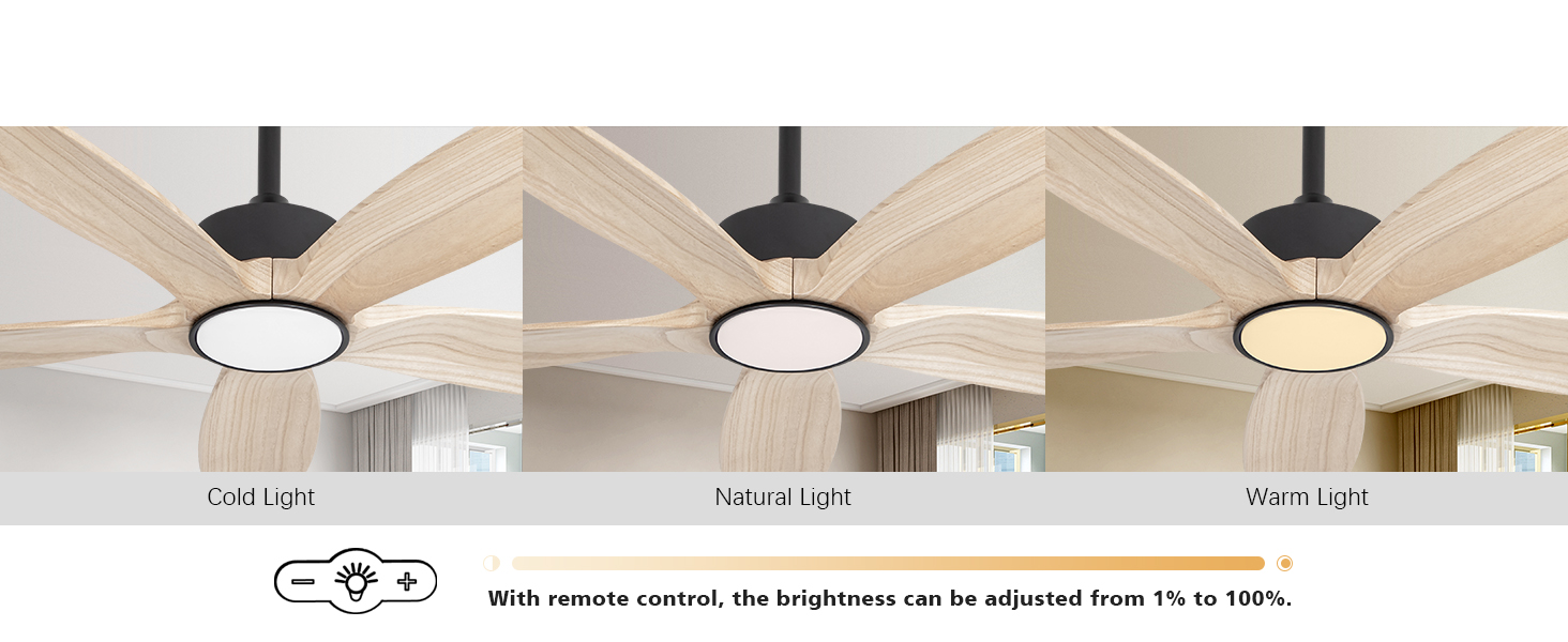 wood ceiling fan light