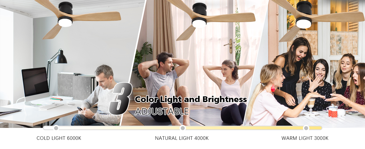 3 Color Light