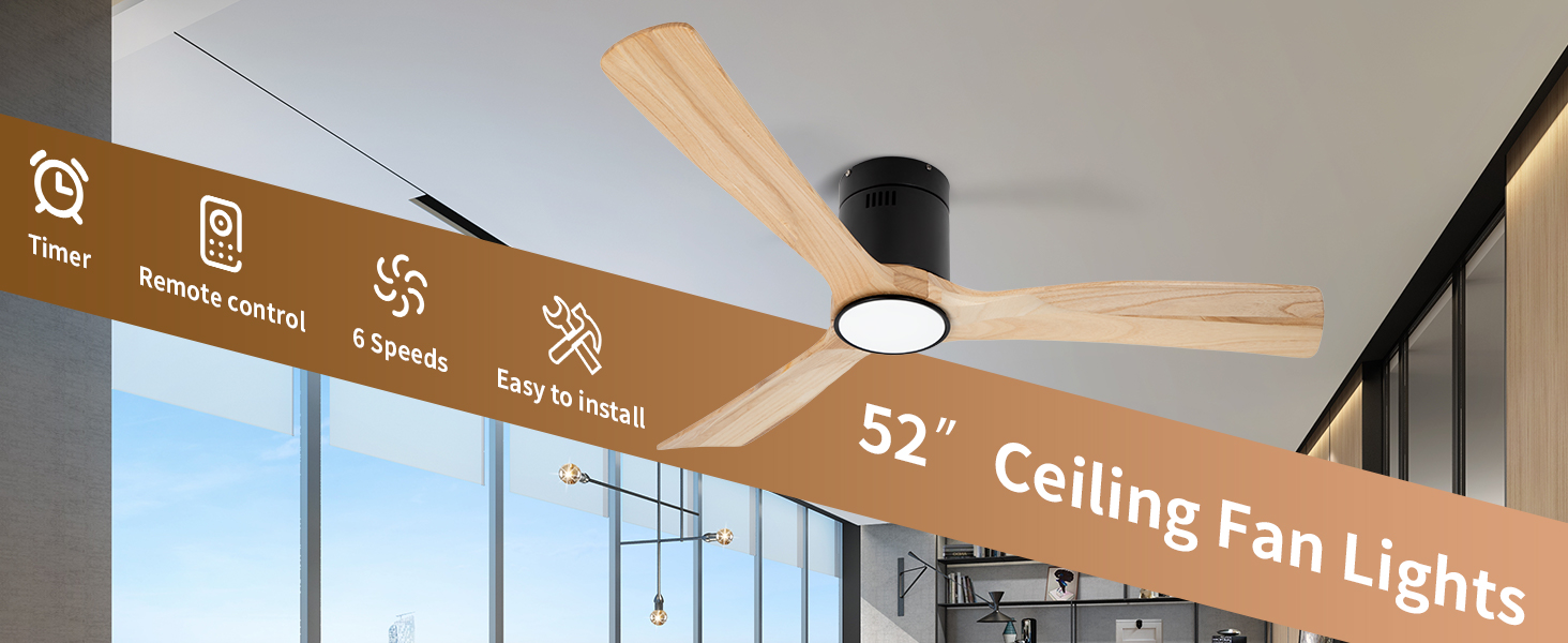 52IN Ceiling Fan Lights