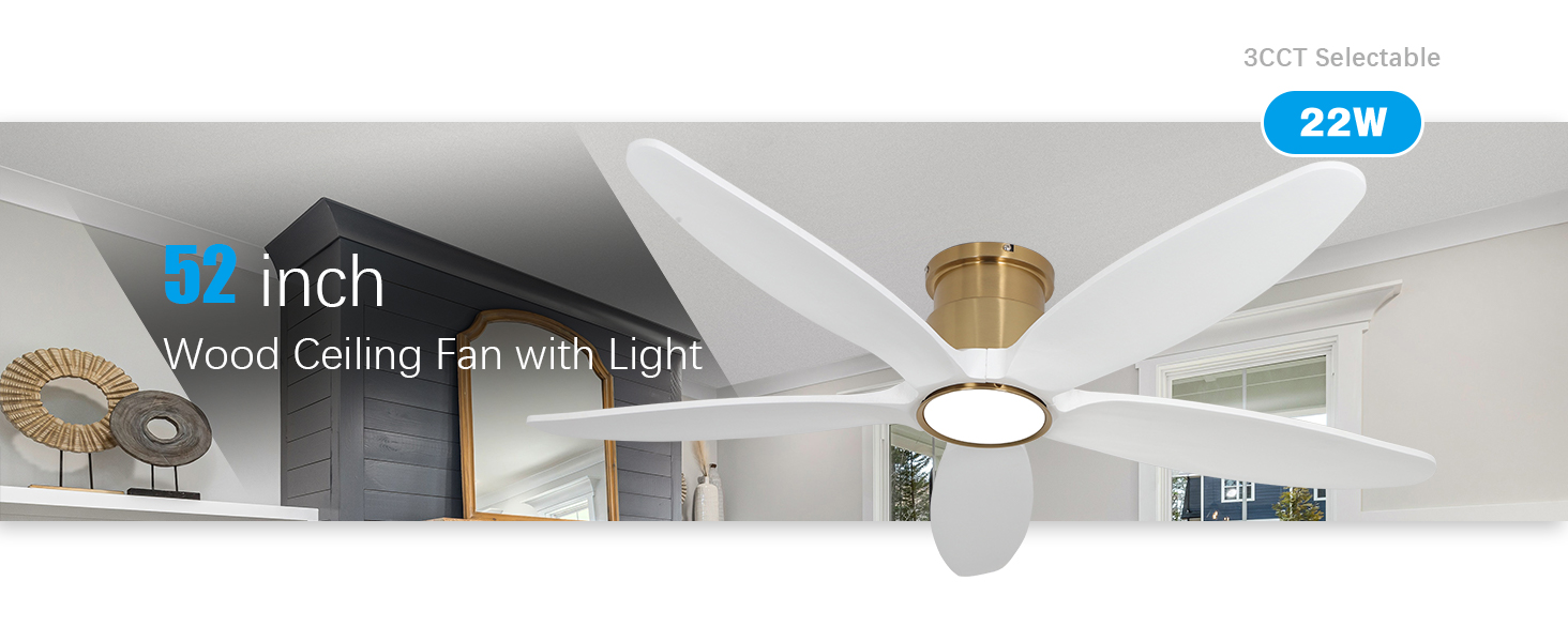 Flush Mount Ceiling Fan