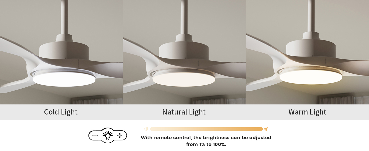 Ceiling Fan 3CCT 22W Dimmable LED Light