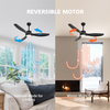 Modern Ceiling Fan with Light 52 Inch Black