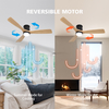 Flush Mount Ceiling Fan with Light 52 Inch