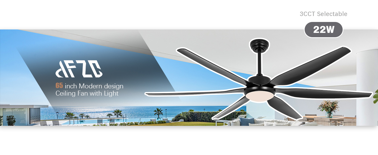 Black ceiling fan light