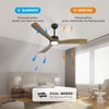 Amber Wood Blades Ceiling Fans with Lights and Remote