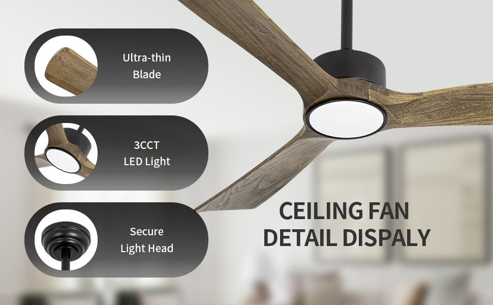 Ceiling fan light details