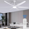 65 Inch Ceiling Fan with Lights and Remote