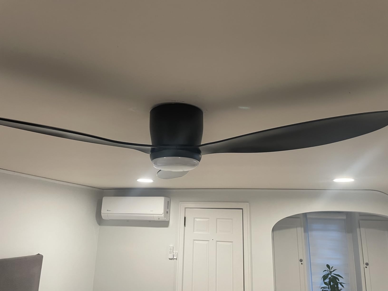 Matte Black Ceiling Fan Light